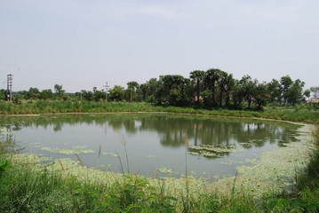 Village with a lake view in West Bengal, India