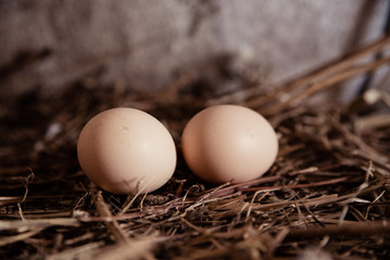 Chicken eggs on a chicken nest, they are made of straw, chicken eggs concept