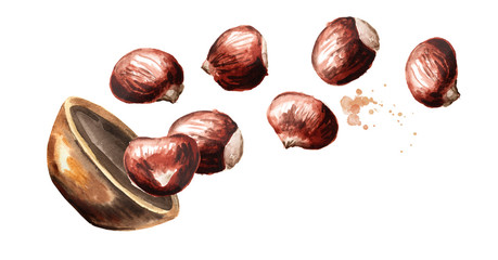 Bowl with Fresh edible Chestnuts. Hand drawn watercolor horizontal illustration isolated on white background