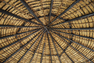 Thatch roof of a sustainable house in Indian Village