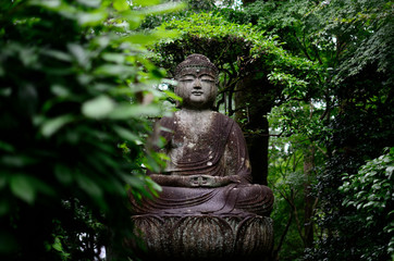 Buddah Statue in Japan