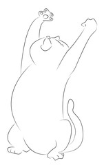 line drawing illustration of a cat doing yoga isolated on a white background