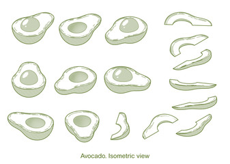Isometric avocado pieces set isolated on white background. Monochrome illustration with texture.