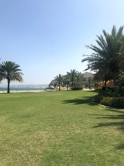 The coast of Oman
