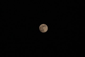 moon in the night