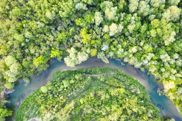 Flight through majestic river and lush green forest at sunset time. Landscape photography