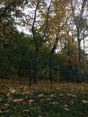 Fototapeta premium nature of Russia. Ural. City Of Perm. Promenade. Autumn