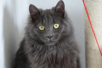 Fototapeta premium jeromepalacios_fr