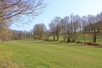 sunny idyllic rural landscape with fields and meadows in Germany