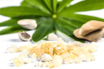 Spa concept of cosmetic procedures and treatments. Sea salt and sea shells on green leaves on a...