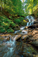 waterfall in the fores. rapid water of mountain river. beautiful nature background. calming summer landscape