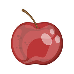 Cartoon ripe red apple fruit, vector illustration