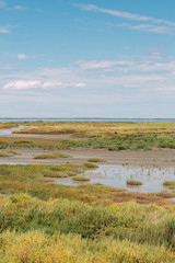 Beautiful Camargue nature reserve in France