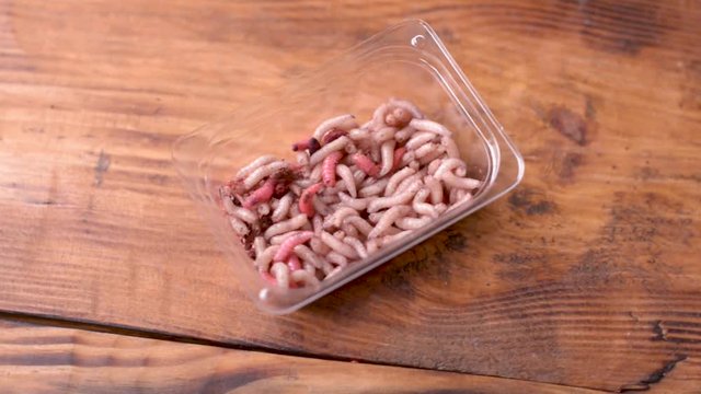 A small box with larvae of a meat fly - maggot on wooden background. Fishing lures.