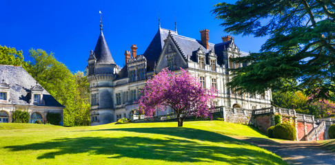 Romantic beautiful castles of Loire valley, Bourdaisiere castle, France