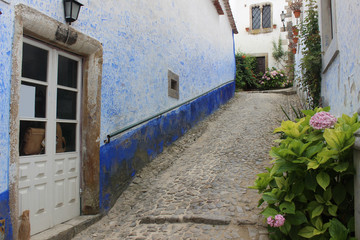 Fototapeta na wymiar Calles pintorescas del pueblo de Óbidos (Portugal)