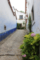 Fototapeta na wymiar Calles pintorescas del pueblo de Óbidos (Portugal)