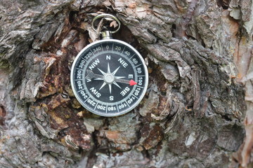 Old compass on natural background