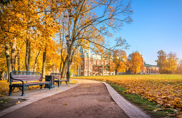 Fototapeta na wymiar Скамейка у Дворца Царицыно Benches at the Palace in Tsaritsyno