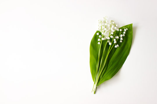 Lily of the valley, may bells flowers and green leaves flat lay isolated on white background top view with copy space. Spring floral nature layout. Wild and garden flowers. Stock photo.