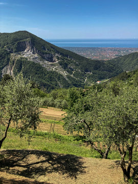 Parco Regionale delle Alpi Apuane, vista dal paese di Minazzanza, sullo sfondo Forte dei Marmi ed il Mar Tirreno