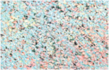 Obraz premium colorful sugar sprinkles
