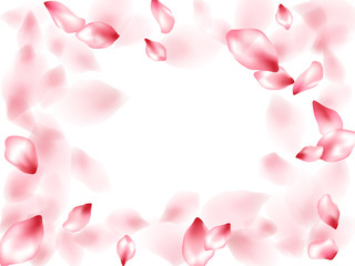 Pink sakura flower flying petals isolated on white vector background.