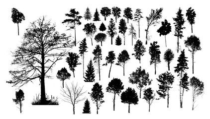 A set of silhouettes of trees. Vector illustration