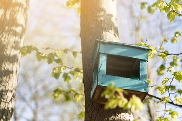 Birdhouse on a tree. A blue birdhouse is hung on a birch.