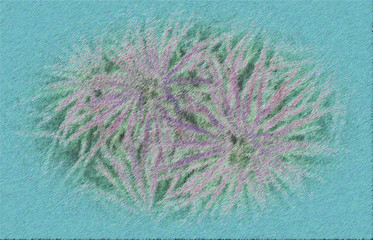 lavender flowers in the wind