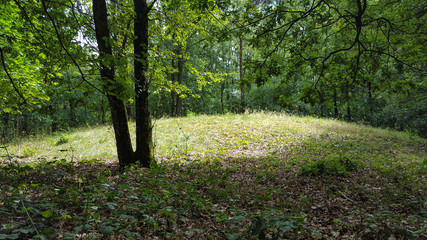 Ancient burial mound in forest; Overijssel, Netherlands