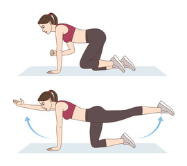 A woman is doing sports exercises. Bird dog exercise. Workout for the buttocks, lumbar and hips. Fitness for weight loss.
