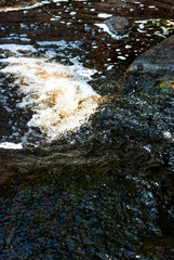 a small forest waterfall quickly runs over stones