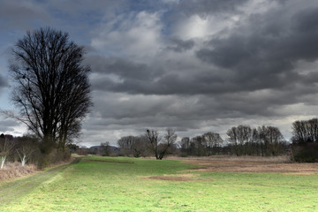 Fototapeta na wymiar an open meadow on a gray cloudy day