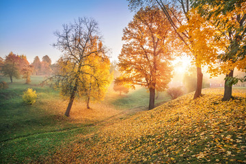 Fototapeta premium Солнце в овраге в Царицыно Rays of the sun in a ravine in Tsaritsyno park