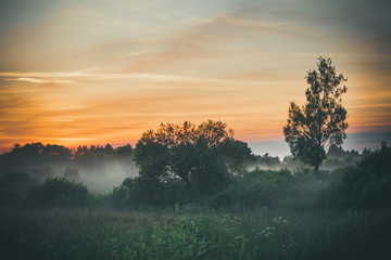 Fototapeta na wymiar foggy evening field in sunset light