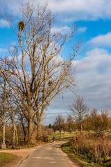 walking on a paved country road on a winters day