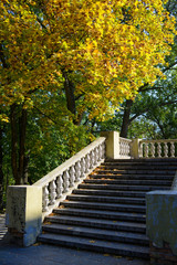 Autumn sunny day, yellowed maple leaves. A lot of fallen foliage. Seasons. Old staircase in the mansion. Natural background in golden color.