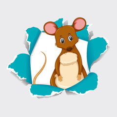 Background template design with wild mouse on gray background
