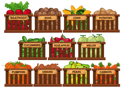Fresh fruits and vegetables in buckets on white background