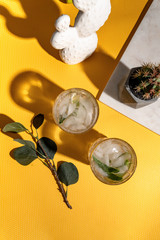 Fresh Mojito alcoholic cocktail with lime, rosemary, mint and ice in a crystal glass shot with hard...