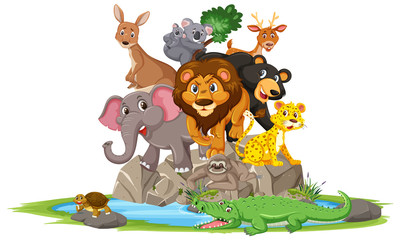 Wild animals standing on stone cartoon character on white background