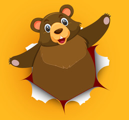 Cute bear coming out of cracked wall