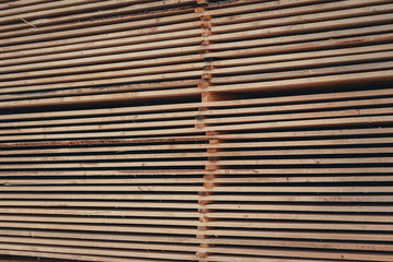 Wood and Sawmill. Large round logs harvested for construction.