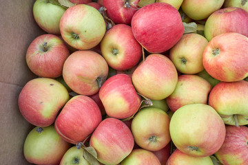 Red apples in a cardboard box in the store