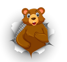 Cute bear coming out of cracked wall