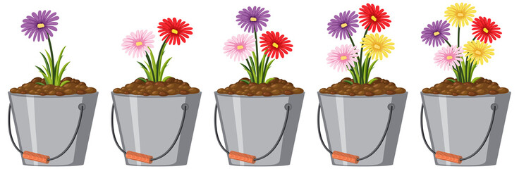 Colorful flowers in metal buckets on white background