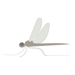 isolated, dragonfly color sketch in one continuous line