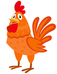 Cock three quarter view. Farm animal in cartoon style.