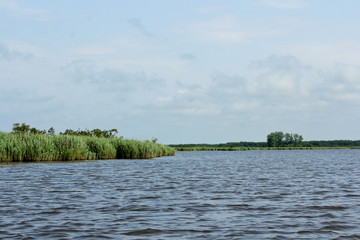 Panorama, wild view of Churia river in the swamps of Kolkheti National Park. Summer, green landscape Georgia country.